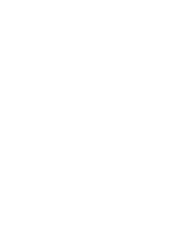 our network is powered by cogent, NTT, telstra and zayo